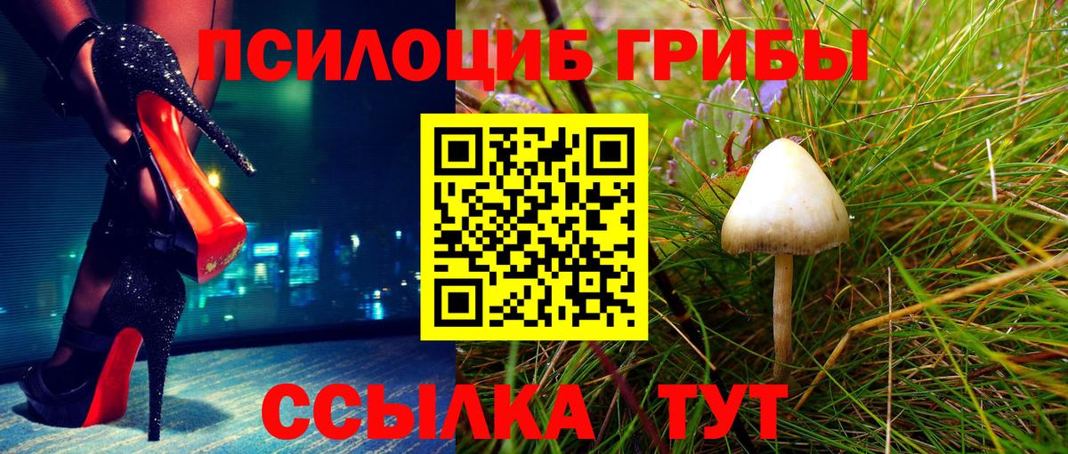 Галлюциногенные грибы Cubensis Кострома